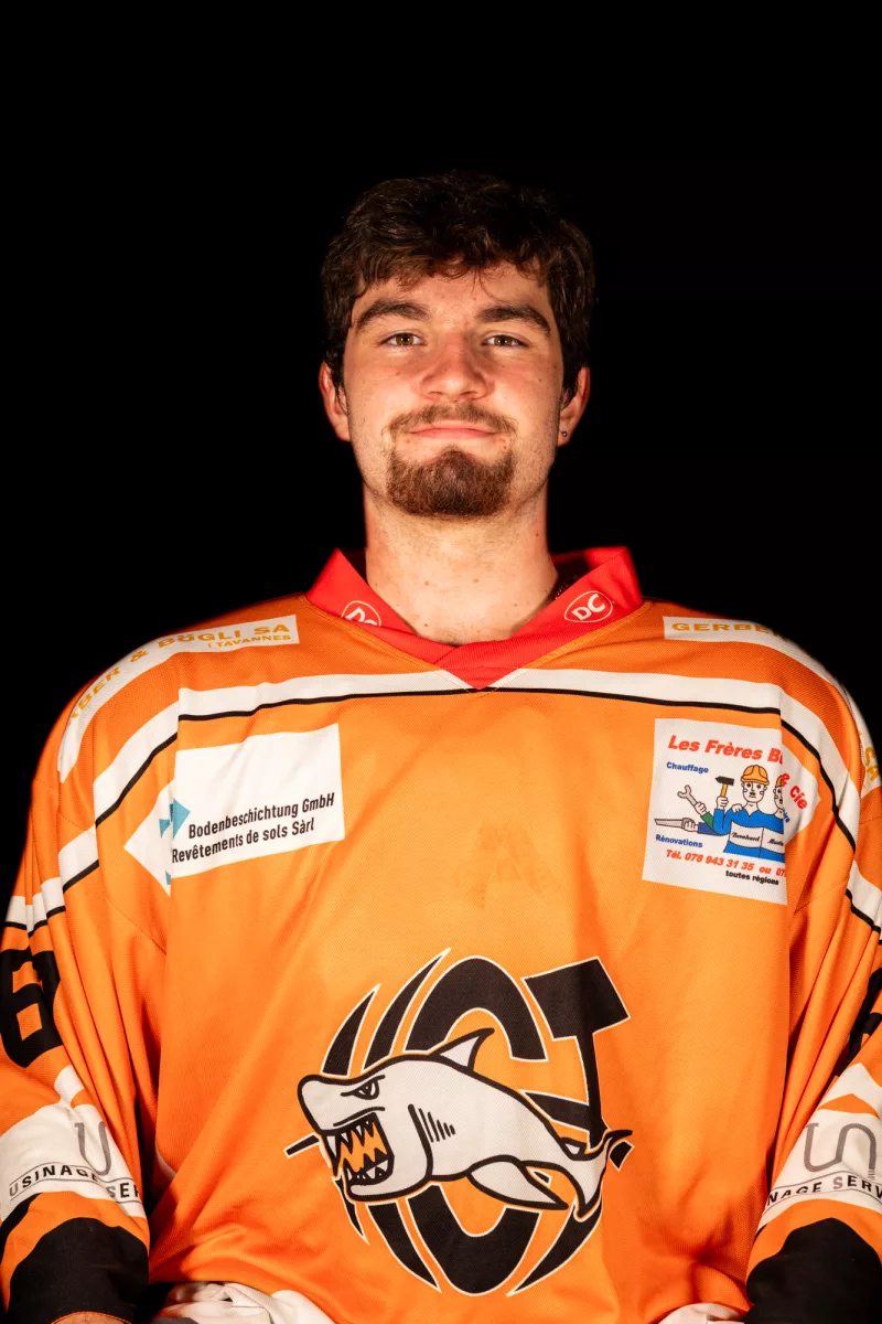 Alexandre Hostettmann